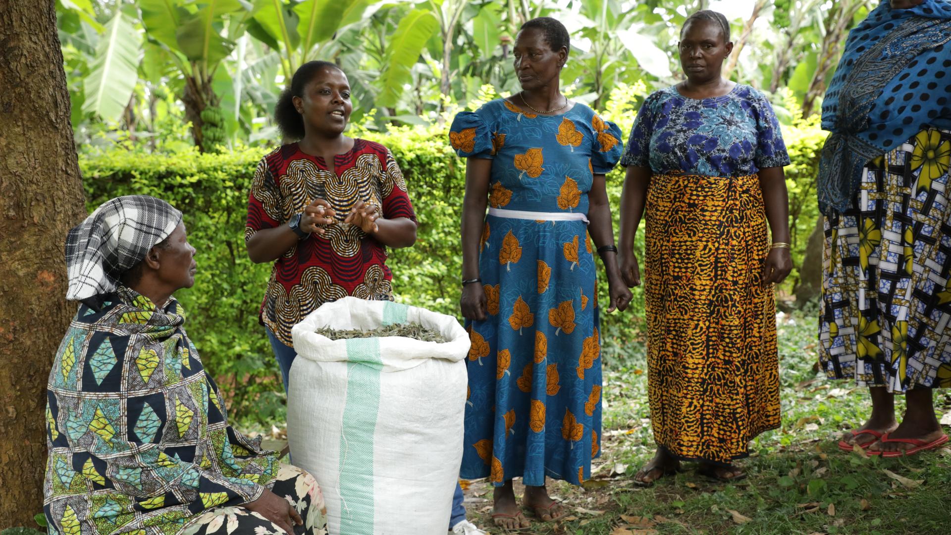 Three women scientists working in the field