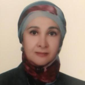 nc_vice_chair_image 1