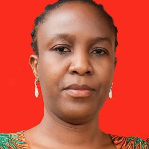 Dr. Oluwatoyin O. Bolarinwa