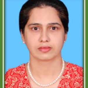 member_committee_image 1