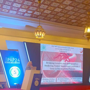 Khanam Sabahat professional profile photo