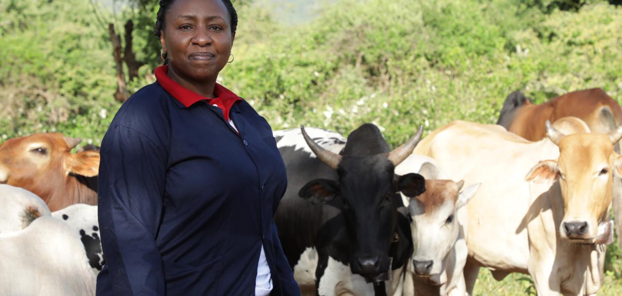 Woman scientist standing in front of cattle